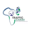 TrafficSummer